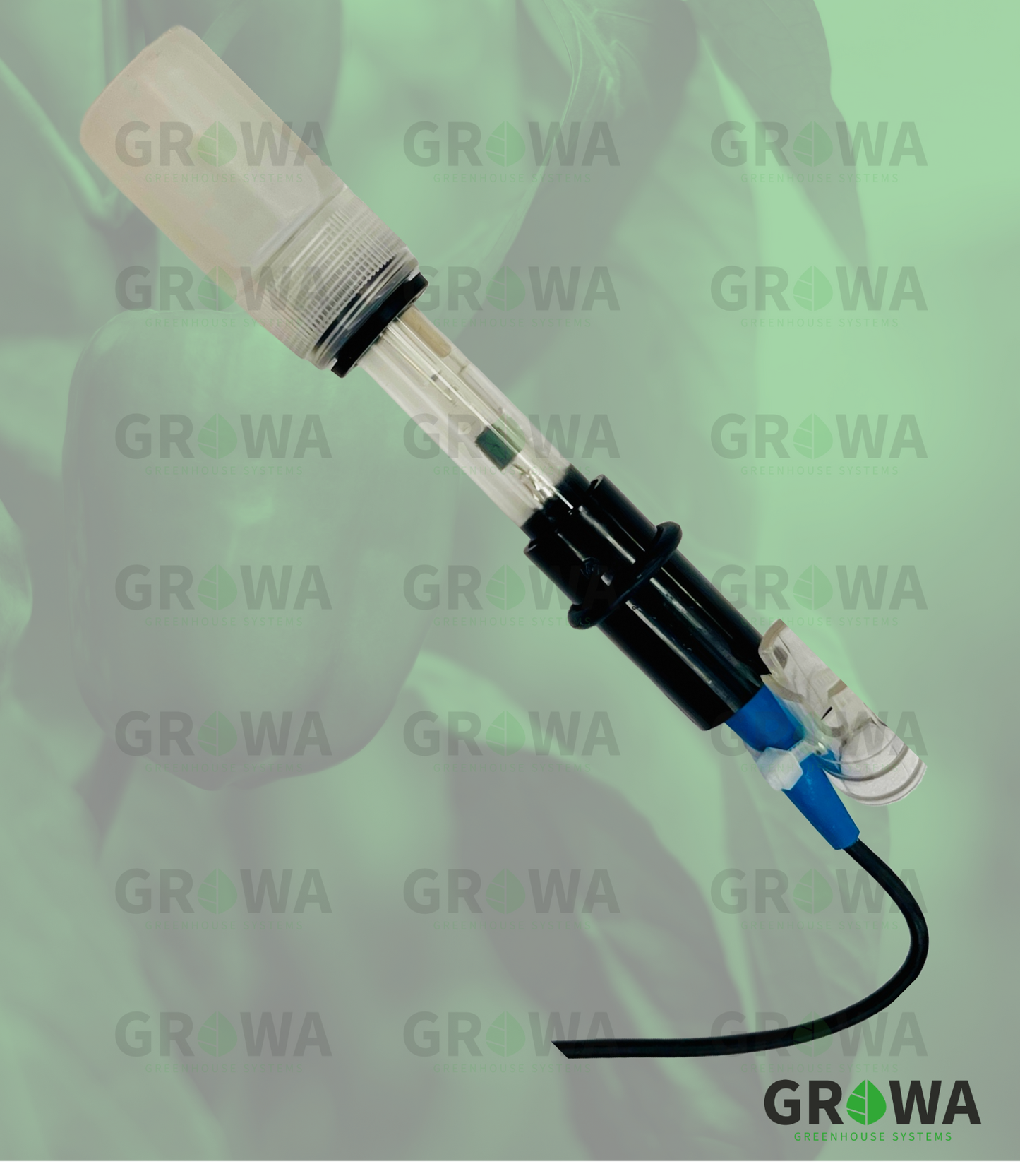PH sensor