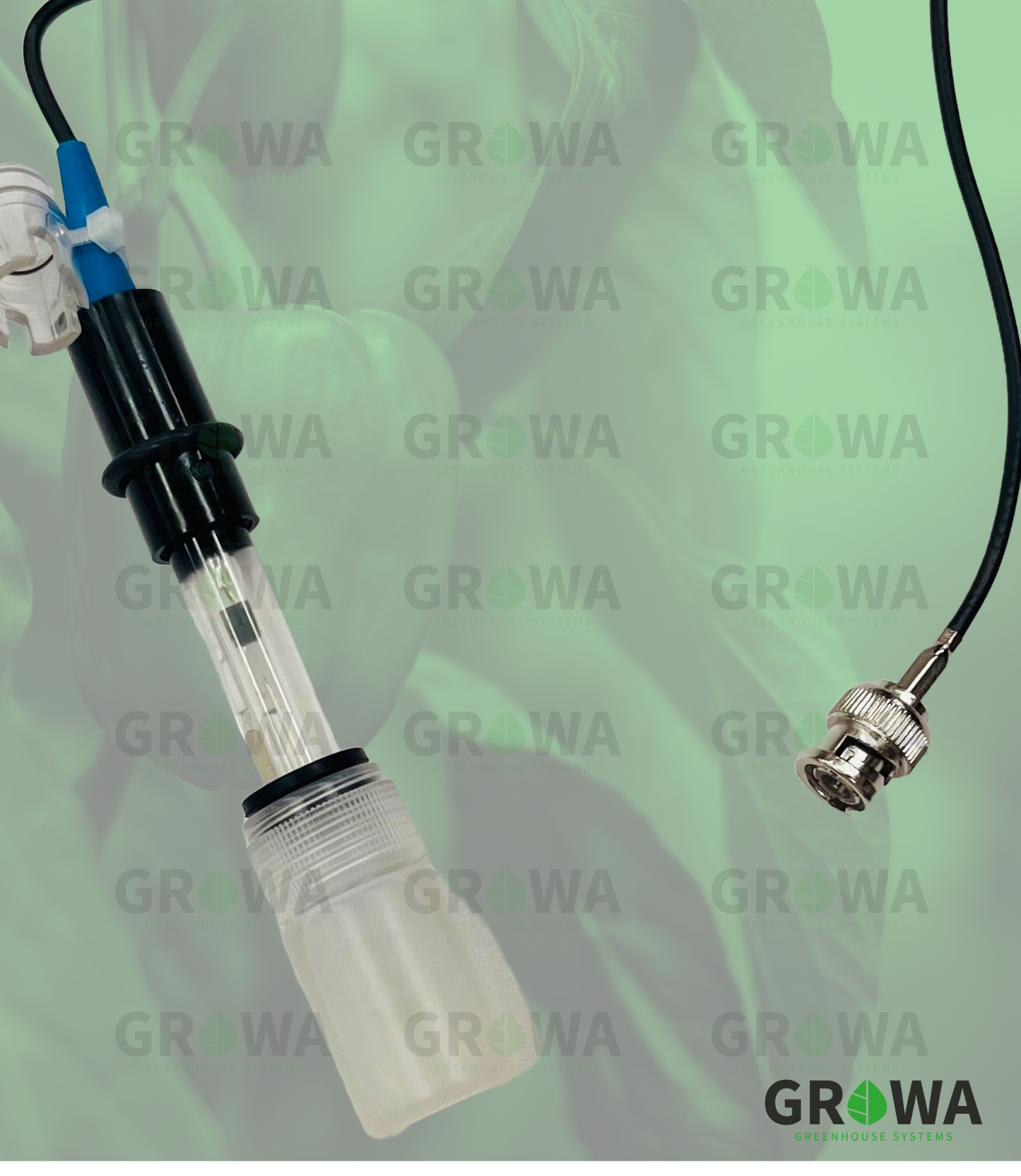 PH sensor